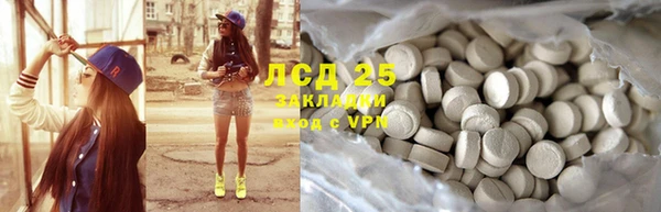 шишки Беломорск
