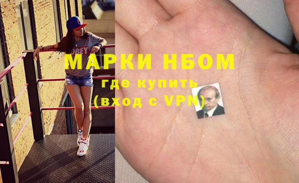 шишки Беломорск