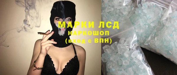 шишки Беломорск