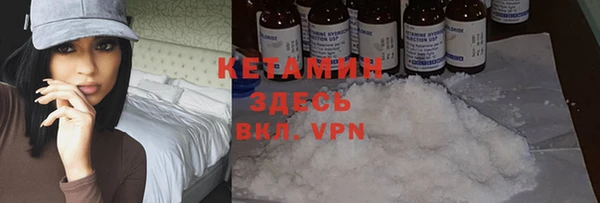 шишки Беломорск