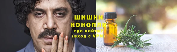 шишки Беломорск