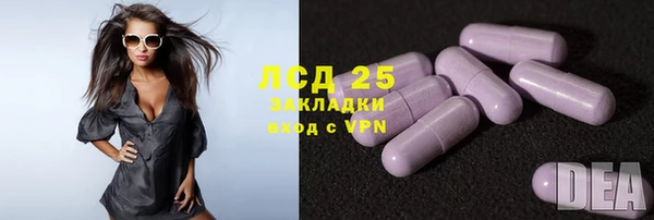 ПСИЛОЦИБИНОВЫЕ ГРИБЫ Белоозёрский