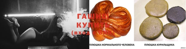 ALPHA PVP Белокуриха