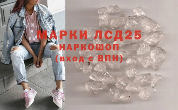шишки Беломорск