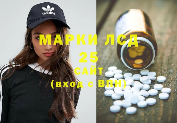 шишки Беломорск