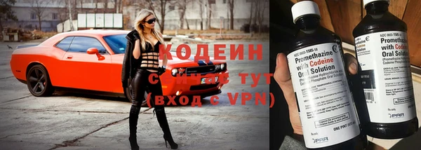 шишки Беломорск