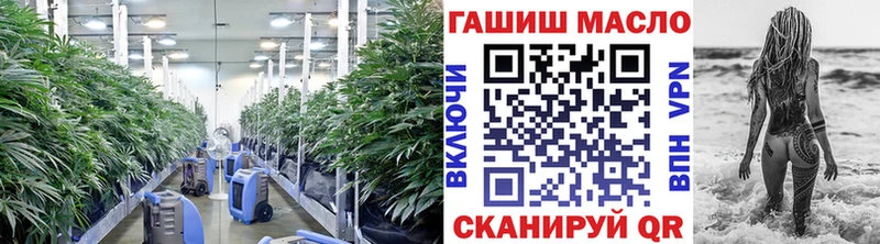 где купить   Гудермес  Дистиллят ТГК вейп с тгк 