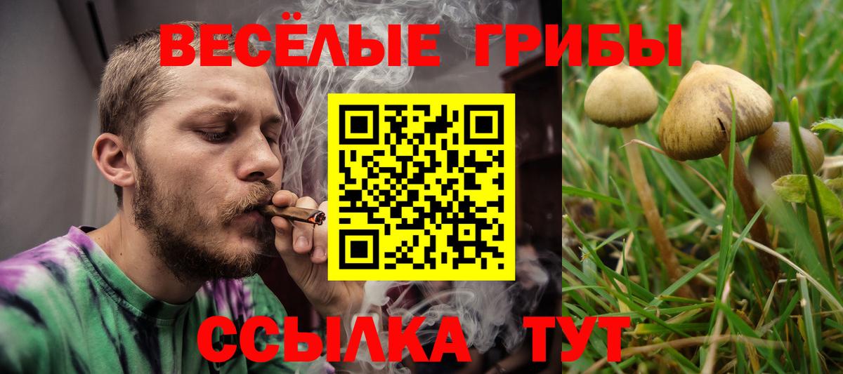 Псилоцибиновые грибы MAGIC MUSHROOMS  Вход с VPN  Гудермес 