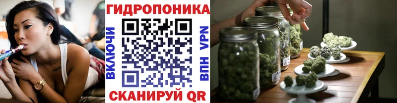 купить закладку  Гудермес  Конопля тримм 