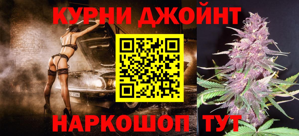 Каннабис план  Марихуана сатива  Гудермес  Вход с VPN 